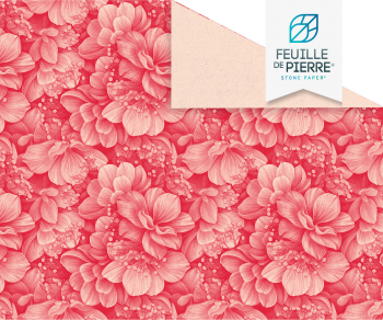 Aurore - Feuille de pierre