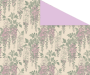 Glycines - Kraft Blanc