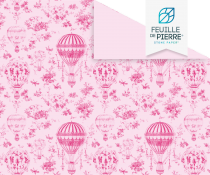 Montgolfière - Feuille de pierre
