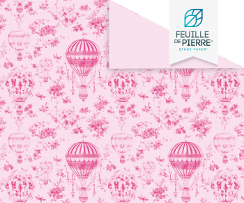 Montgolfière - Feuille de pierre