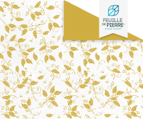 Lucena - Feuille de pierre