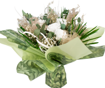 Decobulle "Echeveria"