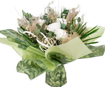 Decobulle "Echeveria"